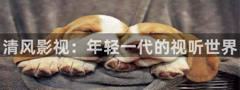 仙游私人影院：清风影视：年轻一代的视听世界