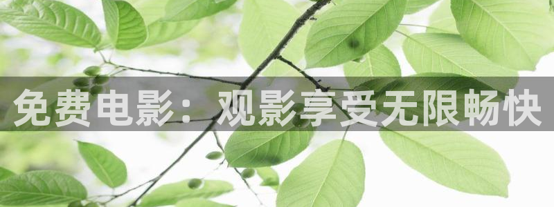 桃花私人影院：免费电影：观影享受无限畅快